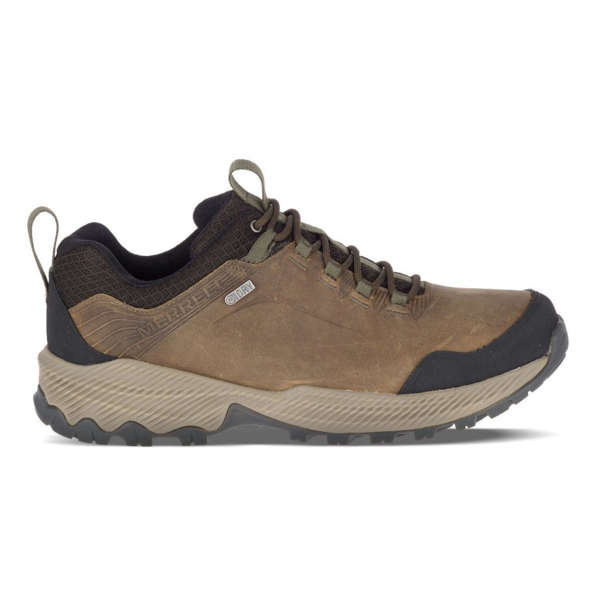 Chaussures Randonnée Merrell Forestbound Waterproof Marron Homme | J.S.PMAO